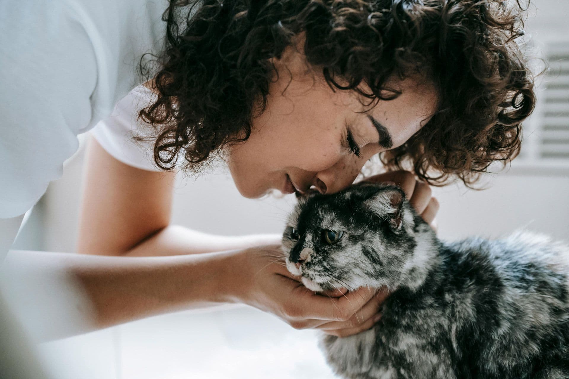 a person with black hair petting a gray cat